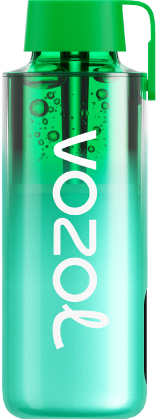 ЭСДН VOZOL NEON 10000 2% Мята майами