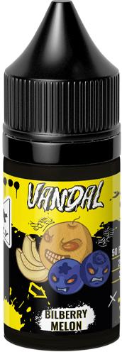 Bilberry Melon 20мг VANDAL SALT 30мл Жидкость