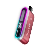 INFLAVE ONYX PRO 28000 2% Клюква Черника