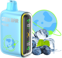 ЭСДН GEEK BAR PULSE 12000 2% Черника Лёд