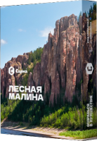 Табак Лесная Малина "Сарма" 25гр.