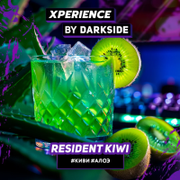 Табак Резидент Киви DarkSide XPERIENCE 30гр.