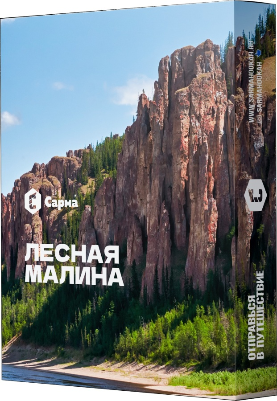 Табак Лесная Малина "Сарма" 25гр.