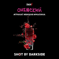 Табак Онежский панч DarkSide Shot 30гр.