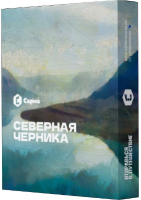 Табак Северная черника "Сарма" 25гр.